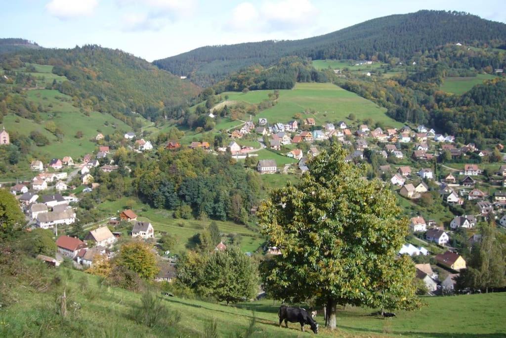 Yourte Des Verts Bois Fréland エクステリア 写真